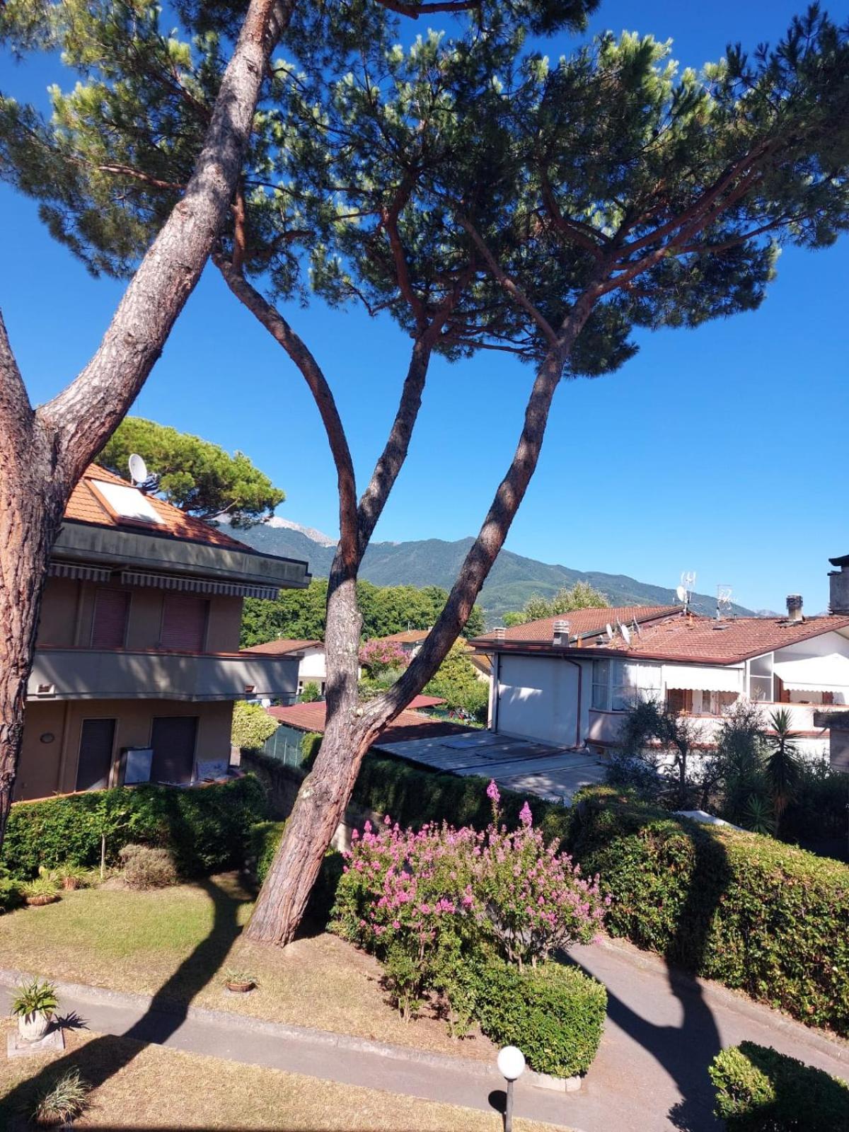 Appartamento Al Mare Di Liguria E Toscana Marina di Massa Εξωτερικό φωτογραφία